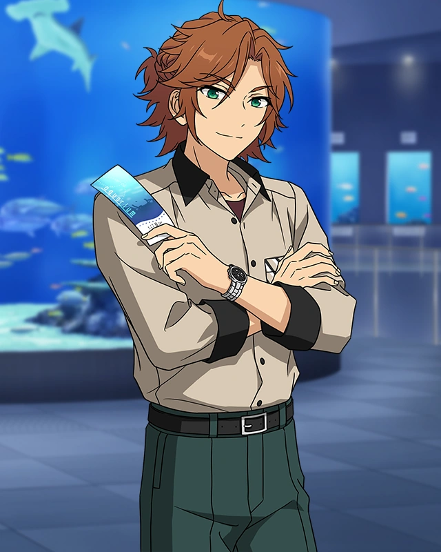 Dolphin Song